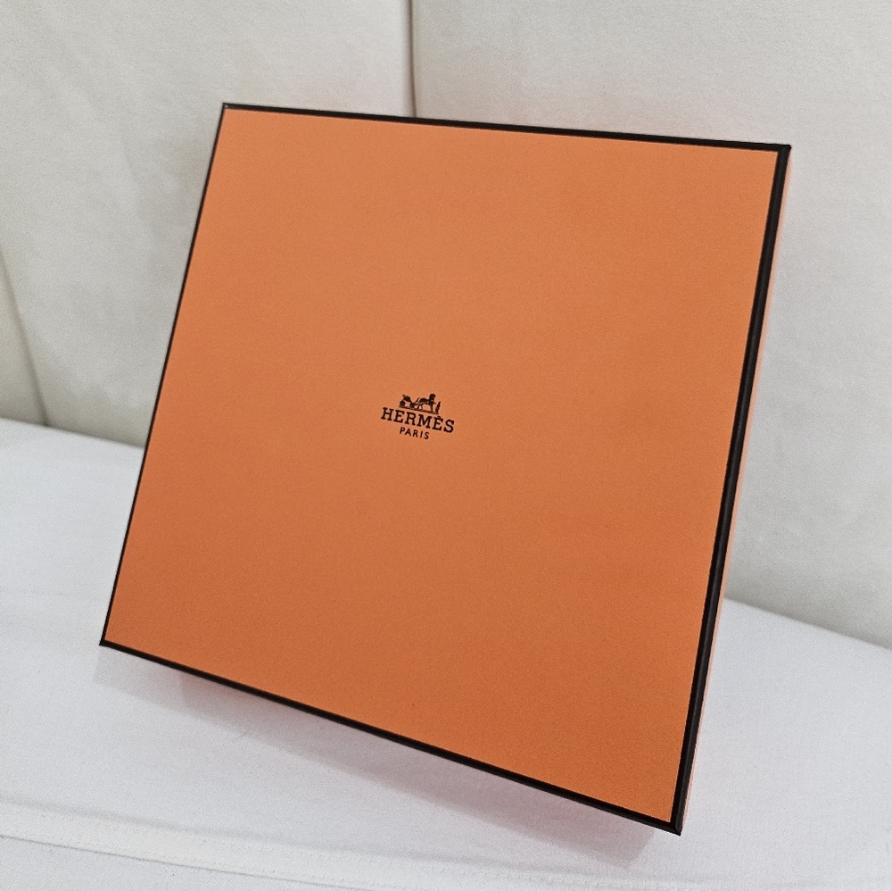 Hermes large square jewelry belt orange box